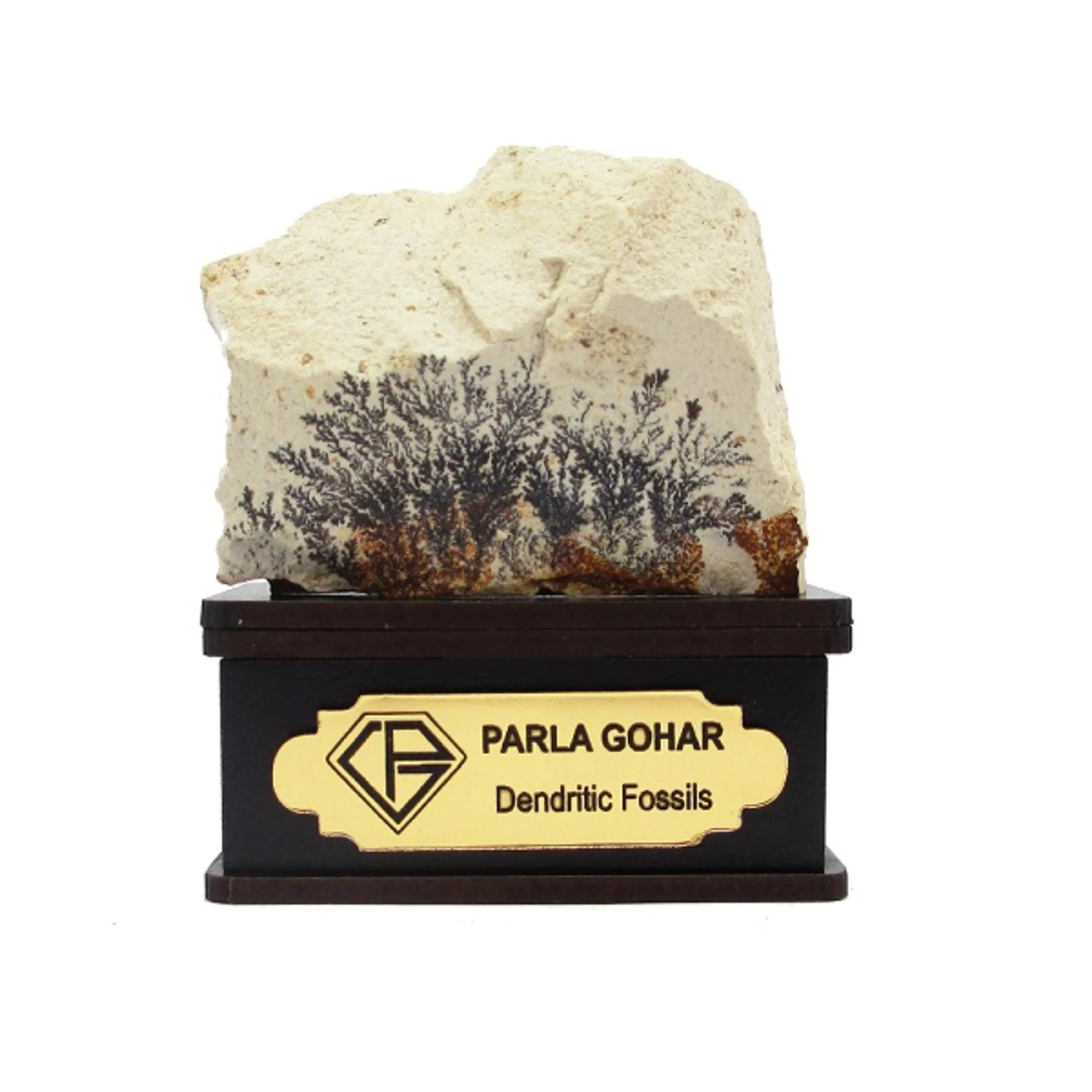 شجر راف کد 2378